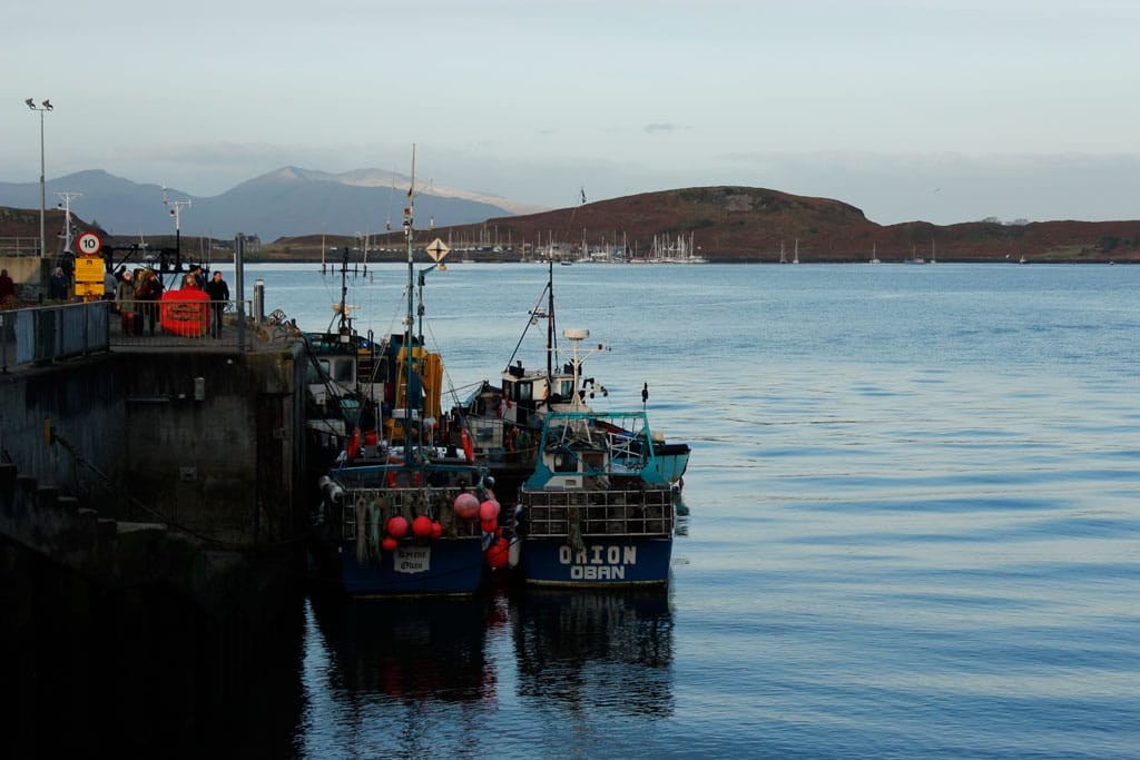 Boats in Oban