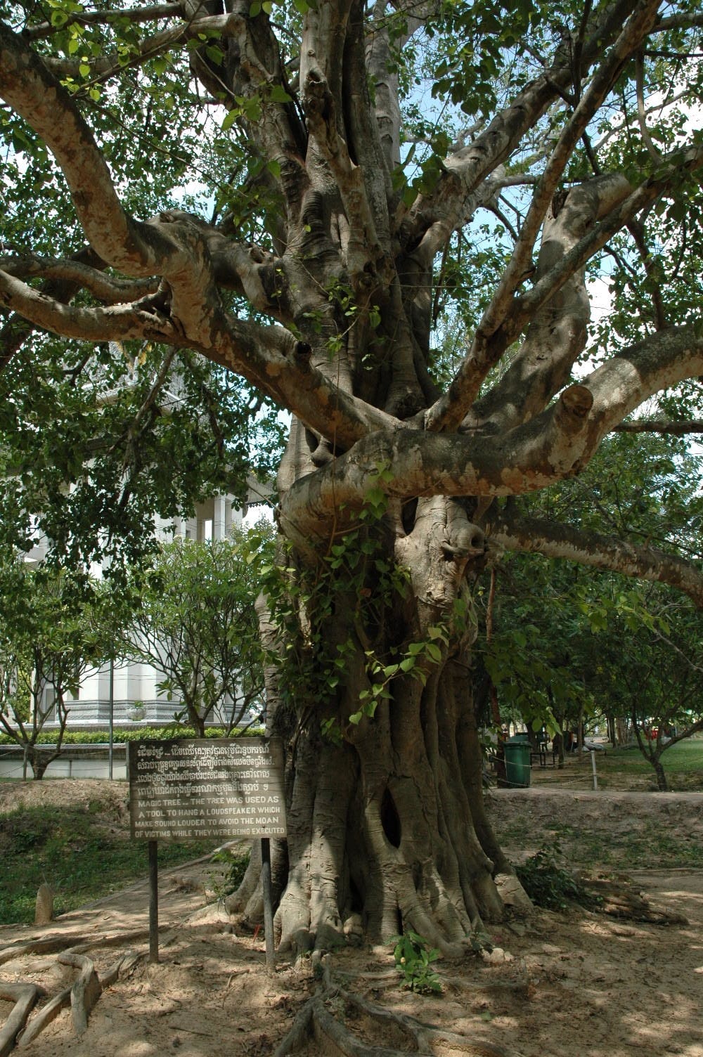 Killing Fields, Choeung Ek