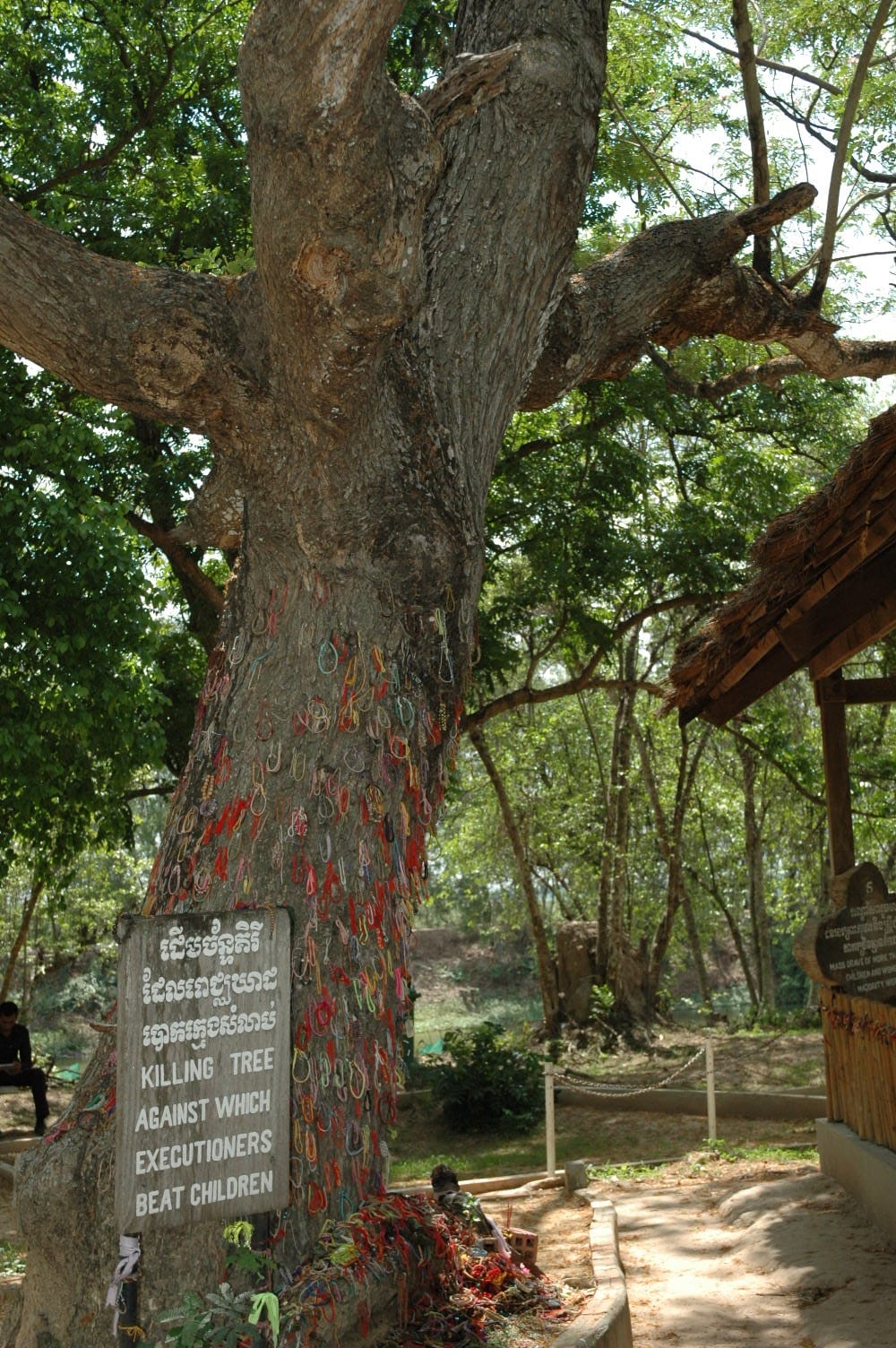 The Killing Tree