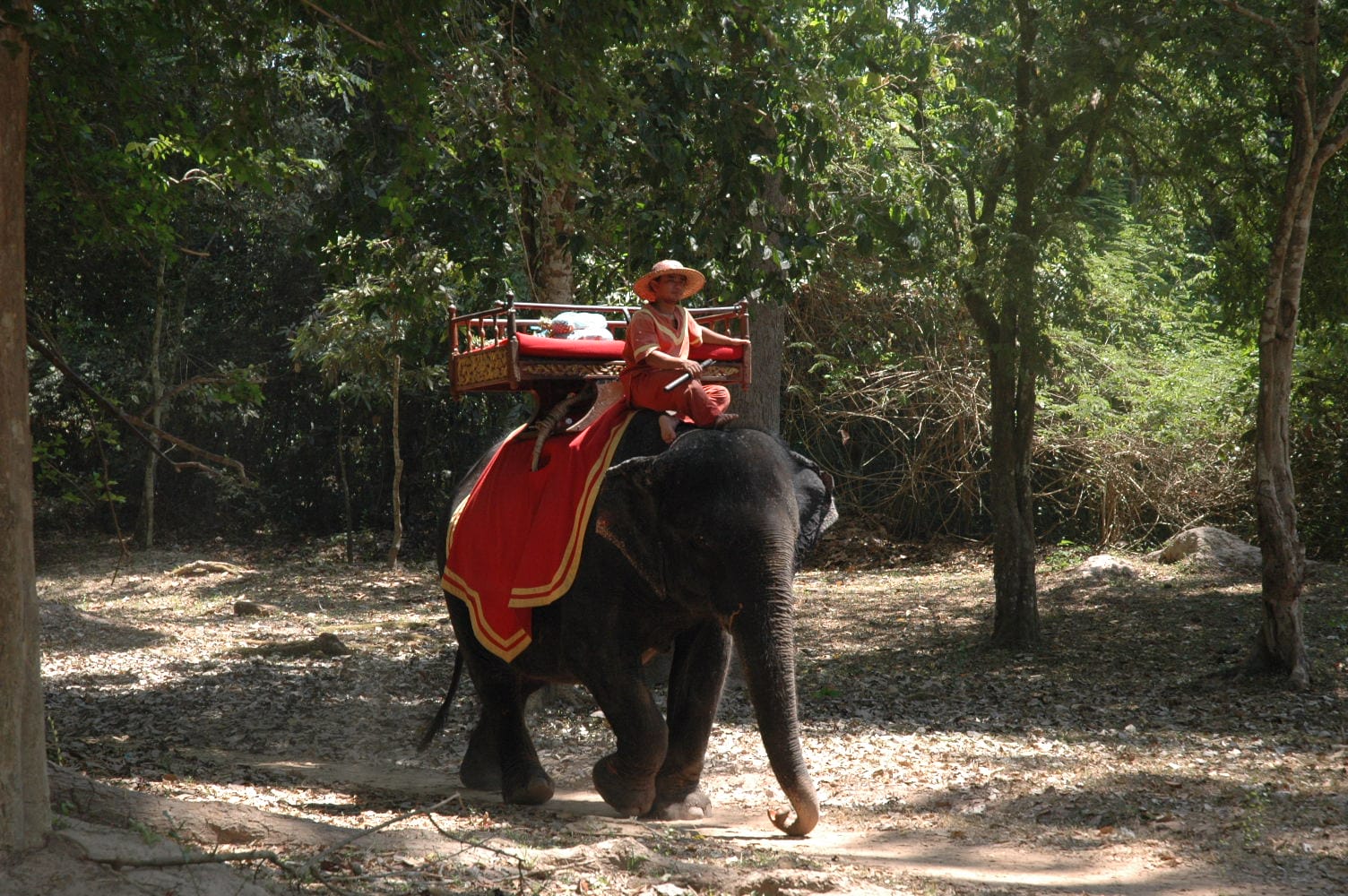 Exploring Ankor Wat by Elephant