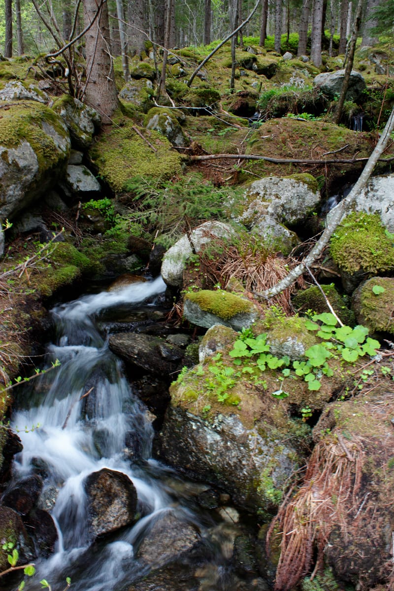 waterfall-gorge
