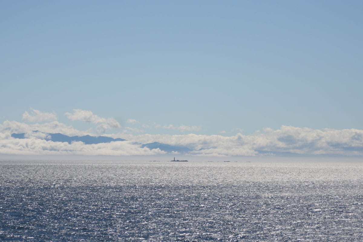 thesea