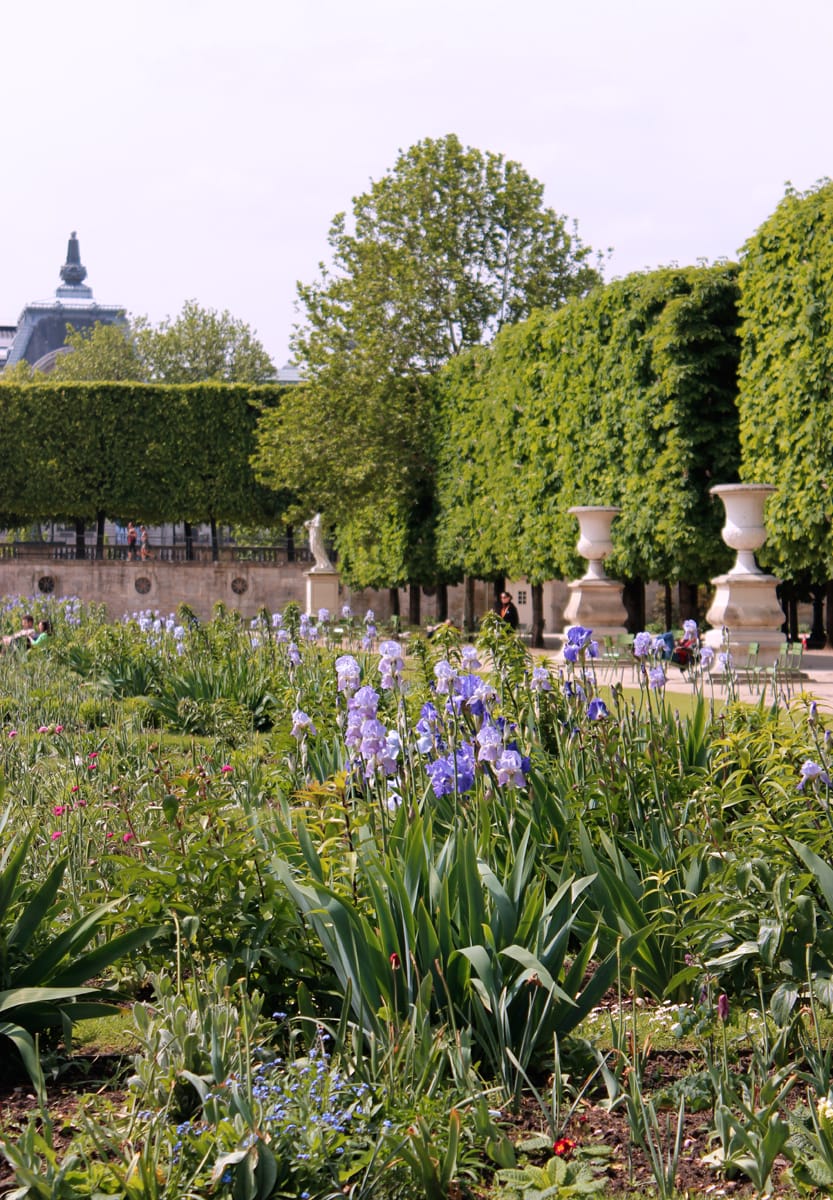 Jardin des Tuileries