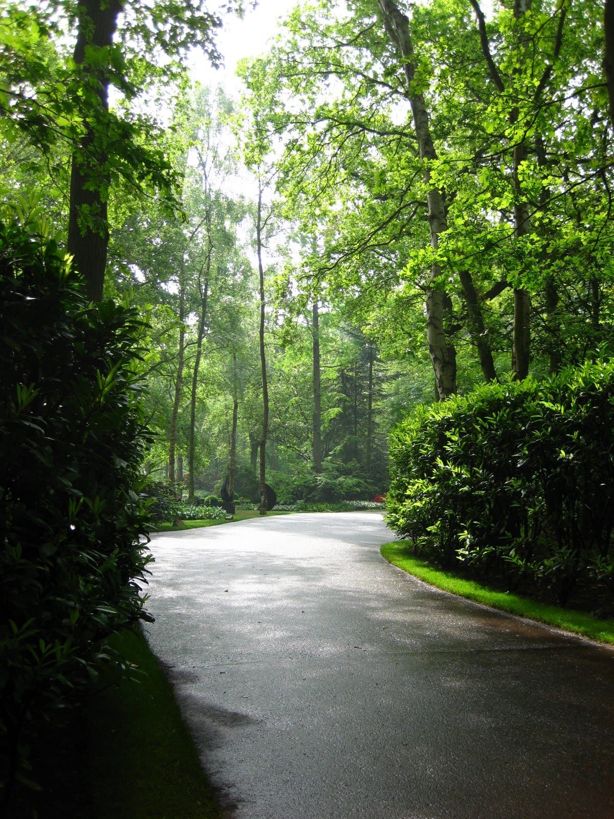 keukenhof