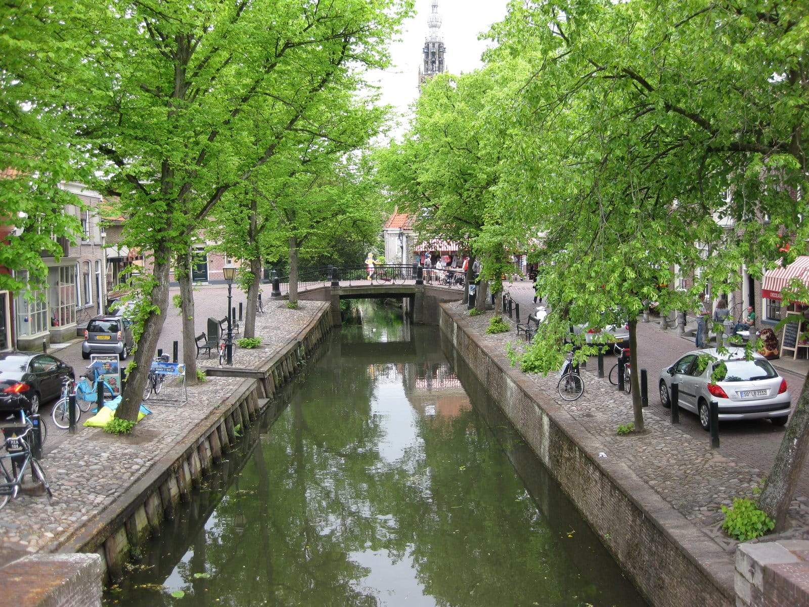 edam