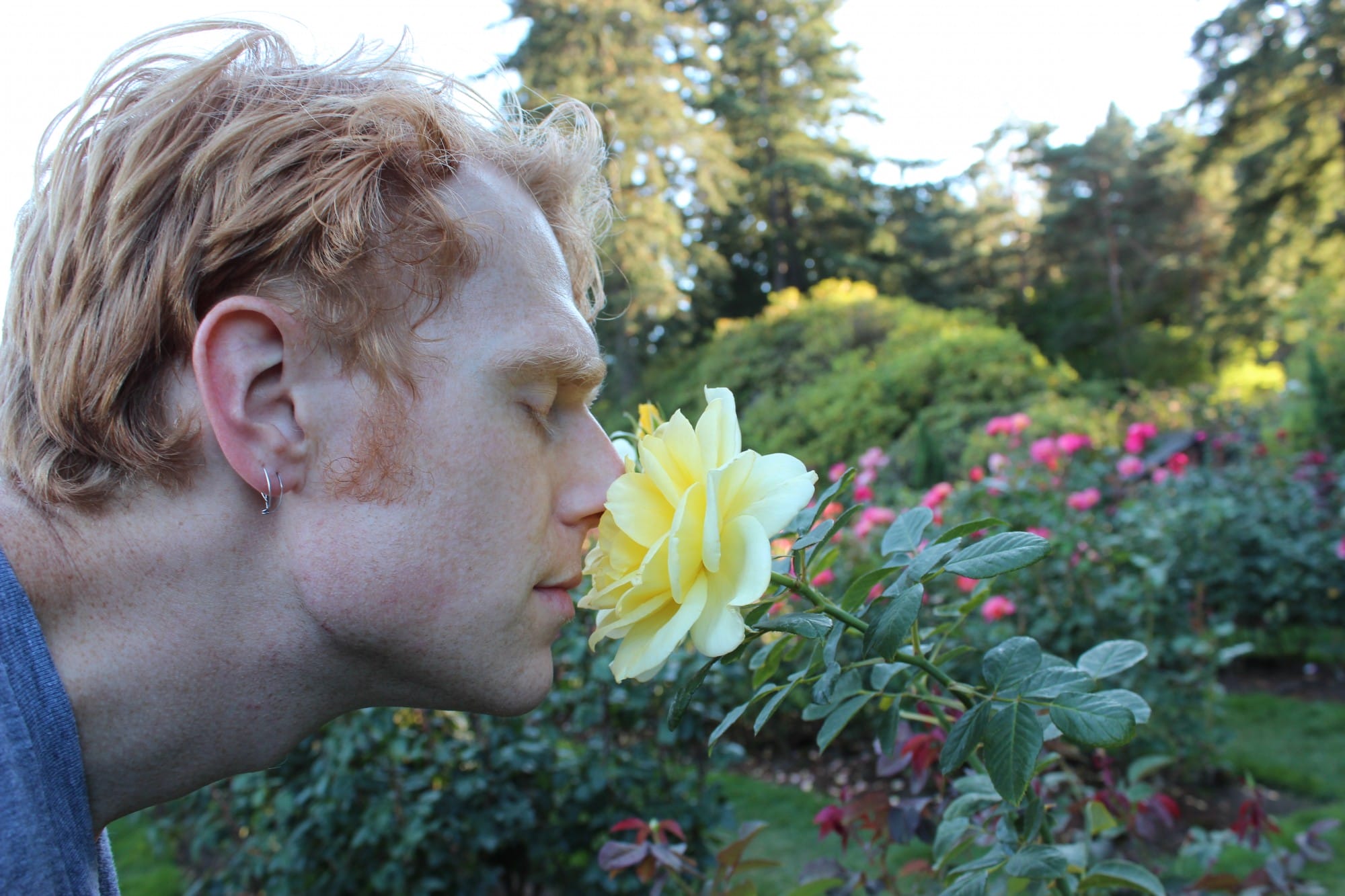 Smelling the roses at the Portland International Rose Test Garden