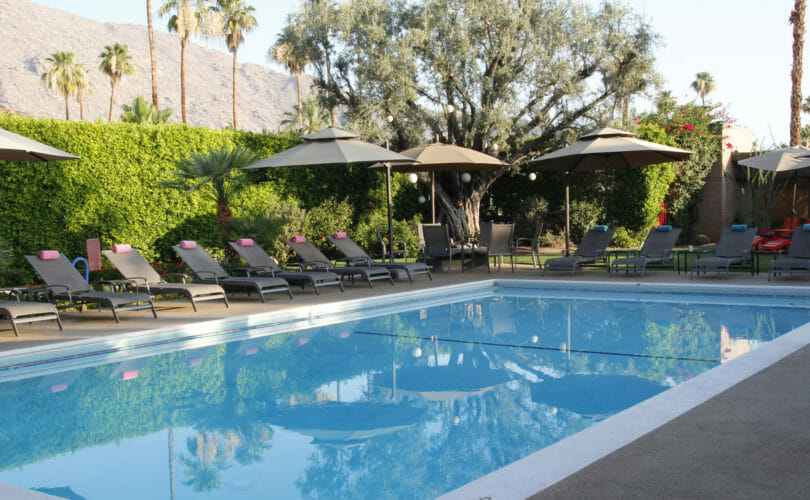 The pool at the Desert Riviera in Palm Springs